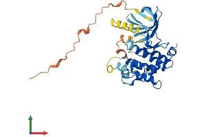 AlphaFold protein structure predicition of Mouse Recombinant Map2k6 Protein, UniprotID P70236