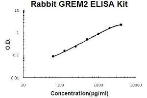 Rabbit GREM2 PicoKine ELISA Kit standard curve (GREM2 Kit ELISA)