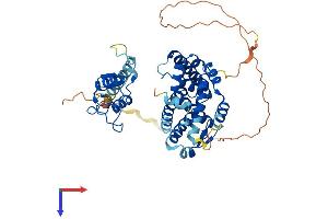 AlphaFold protein structure predicition of Mouse Recombinant Nr5a1 Protein, UniprotID P33242