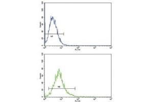 ATF6 antibody flow cytometric analysis of K562 cells (bottom histogram) compared to a negative control (top histogram).