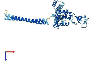 AlphaFold protein structure predicition of Mouse Recombinant Rmnd5a Protein, UniprotID Q80YQ8
