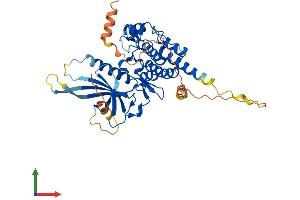 AlphaFold protein structure predicition of Human Recombinant STK40 Protein, UniprotID Q8N2I9