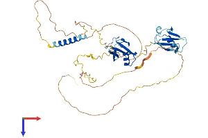 AlphaFold protein structure predicition of Mouse Recombinant Nfatc2ip Protein, UniprotID O09130