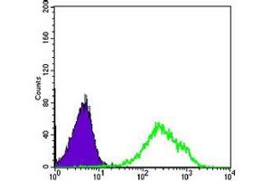 Flow cytometric analysis of Hela cells using DAXX mouse mAb (green) and negative control (purple).