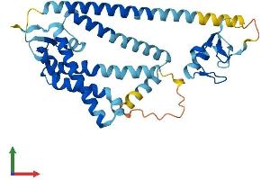 AlphaFold protein structure predicition of Human Recombinant PEX10 Protein, UniprotID O60683