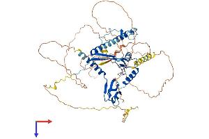 AlphaFold protein structure predicition of Human Recombinant CSRNP3 Protein, UniprotID Q8WYN3