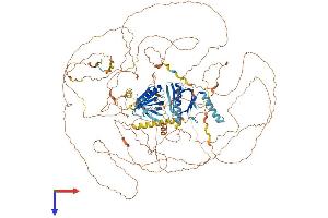 AlphaFold protein structure predicition of Mouse Recombinant Irs4 Protein, UniprotID Q9Z0Y7
