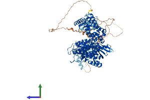 AlphaFold protein structure predicition of Mouse Recombinant Rag1 Protein, UniprotID P15919