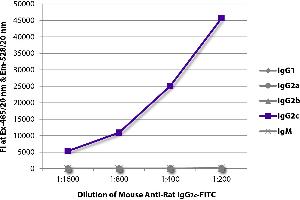 FLISA plate was coated with purified rat IgG1, IgG2a, IgG2b, IgG2c, and IgM. (Souris anti-Rat IgG2c Anticorps (FITC))