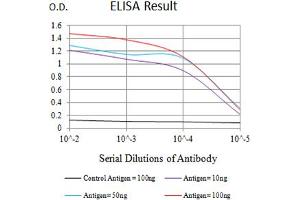 Black line: Control Antigen (100 ng),Purple line: Antigen (10 ng), Blue line: Antigen (50 ng), Red line:Antigen (100 ng) (CD276 anticorps  (AA 29-466))