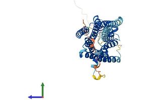 AlphaFold protein structure predicition of Mouse Recombinant Gpr45 Protein, UniprotID Q9EQQ4