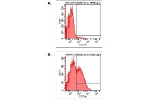 Detection of endogenous human LAG-3 by FACS analysis using anti-LAG-3 (human), mAb (17B4) (ATTO 488) . (LAG3 anticorps  (N-Term) (Atto 488))