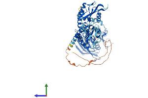 AlphaFold protein structure predicition of Mouse Recombinant Ptpn6 Protein, UniprotID P29351