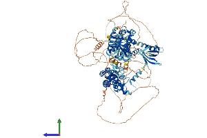 AlphaFold protein structure predicition of Human Recombinant PLEKHM1 Protein, UniprotID Q9Y4G2