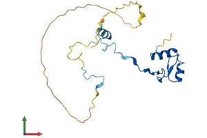 AlphaFold protein structure predicition of Human Recombinant INO80C Protein, UniprotID Q6PI98