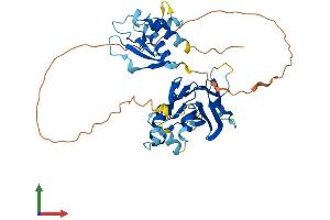 AlphaFold protein structure predicition of Human Recombinant IRF9 Protein, UniprotID Q00978