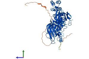 AlphaFold protein structure predicition of Human Recombinant BTBD9 Protein, UniprotID Q96Q07