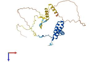 AlphaFold protein structure predicition of Mouse Recombinant Sox21 Protein, UniprotID Q811W0