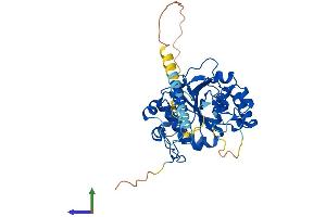 AlphaFold protein structure predicition of Mouse Recombinant Glt8d1 Protein, UniprotID Q6NSU3