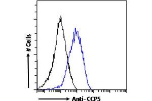 ABIN768638 Flow cytometric analysis of paraformaldehyde fixed NIH3T3 cells (blue line), permeabilized with 0. (AGBL5 anticorps  (Internal Region))
