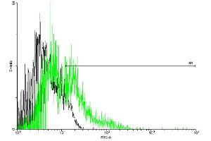 FACS analysis of negative control 293 cells (Black) and EMR1 expressing 293 cells (Green) using EMR1 purified MaxPab mouse polyclonal antibody.