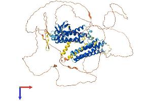 AlphaFold protein structure predicition of Human Recombinant NEDD9 Protein, UniprotID Q14511