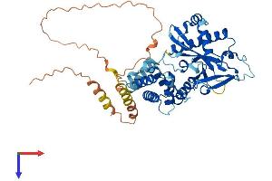 AlphaFold protein structure predicition of Human Recombinant MIEF2 Protein, UniprotID Q96C03