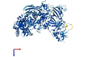 AlphaFold protein structure predicition of Mouse Recombinant Polr1b Protein, UniprotID P70700