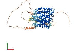AlphaFold protein structure predicition of Human Recombinant SLC41A2 Protein, UniprotID Q96JW4