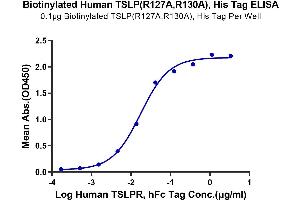 Immobilized Biotinylated Human TSLP (R127A, R130A), His Tag at 1 μg/mL (100 μL/Well).