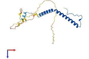 AlphaFold protein structure predicition of Human Recombinant AURKAIP1 Protein, UniprotID Q9NWT8