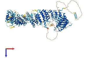 AlphaFold protein structure predicition of Human Recombinant TTI1 Protein, UniprotID O43156