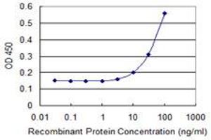 Detection limit for recombinant GST tagged CCBL1 is 3 ng/ml as a capture antibody.