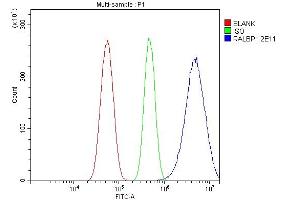 Flow Cytometry analysis of U87 cells using anti-RALBP1 antibody (ABIN7600799).