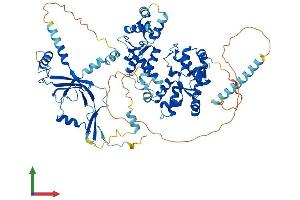 AlphaFold protein structure predicition of Human Recombinant POLR3E Protein, UniprotID Q9NVU0
