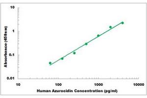 Representative Standard Curve (Azurocidin Kit ELISA)