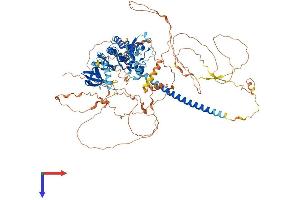 AlphaFold protein structure predicition of Mouse Recombinant Map3k10 Protein, UniprotID Q66L42