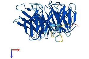 AlphaFold protein structure predicition of Mouse Recombinant Nup37 Protein, UniprotID Q9CWU9