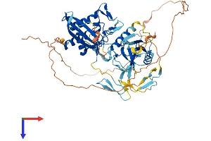 AlphaFold protein structure predicition of Mouse Recombinant Clec18a Protein, UniprotID Q7TSQ1