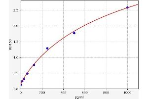 Transforming Growth Factor, beta 2 (TGFB2) ELISA Kit