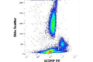 Flow cytometry intracellular staining pattern of human peripheral whole blood stained using anti-SCIMP (NVL-07) PE antibody (10 μL reagent / 100 μL of peripheral whole blood). (SCIMP anticorps  (PE))
