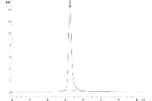 The purity of Human ROR2 is greater than 95 % as determined by SEC-HPLC.