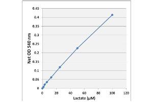 Lactate standard curve (Lactate Assay Kit (Colorimetric))