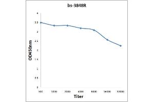 anti-Epidermal Growth Factor Receptor Pathway Substrate 8 (EPS8) (AA 251-350) antibody