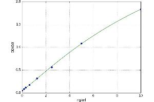 Calcium/calmodulin-Dependent Protein Kinase II alpha (CAMK2A) ELISA Kit