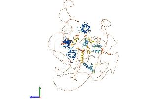 AlphaFold protein structure predicition of Human Recombinant SORBS2 Protein, UniprotID O94875