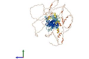 AlphaFold protein structure predicition of Human Recombinant NPAS4 Protein, UniprotID Q8IUM7