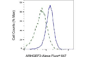 Validation of ARHGEF2 knockdown using flow cytometry. (Recombinant ARHGEF2 anticorps)