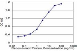 Detection limit for recombinant GST tagged EPB41L1 is approximately 0.