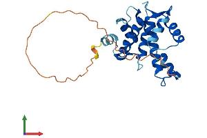 AlphaFold protein structure predicition of Mouse Recombinant Gca Protein, UniprotID Q8VC88